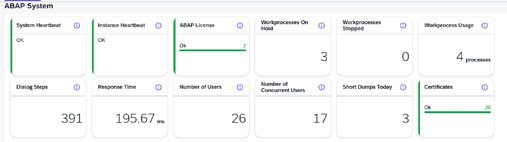 sap sistem metrike